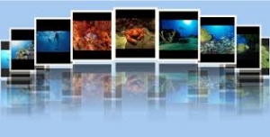 download (3)